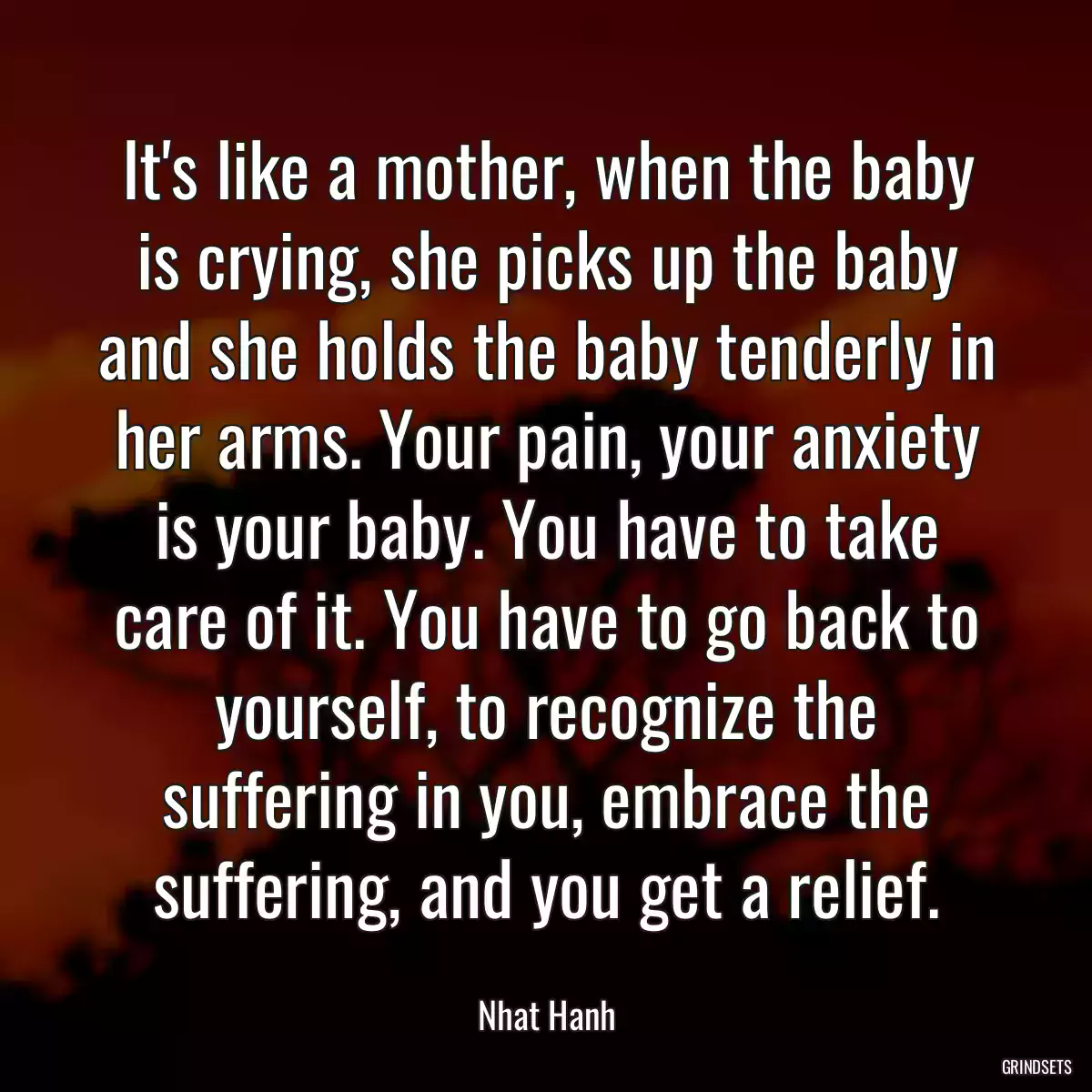 It\'s like a mother, when the baby is crying, she picks up the baby and she holds the baby tenderly in her arms. Your pain, your anxiety is your baby. You have to take care of it. You have to go back to yourself, to recognize the suffering in you, embrace the suffering, and you get a relief.