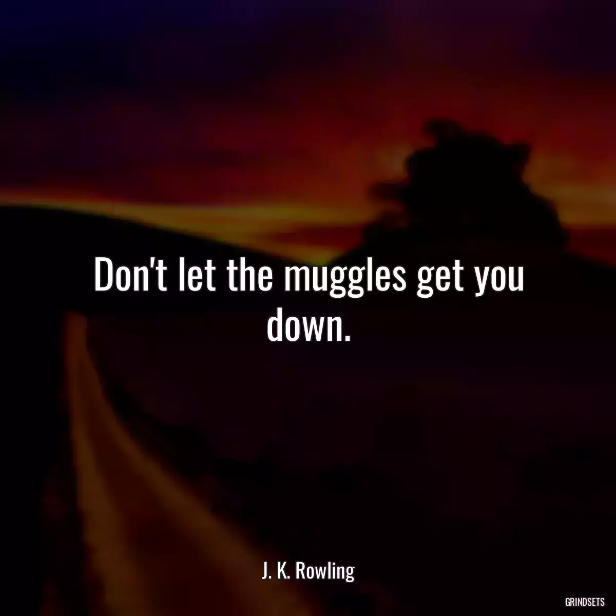 Don\'t let the muggles get you down.