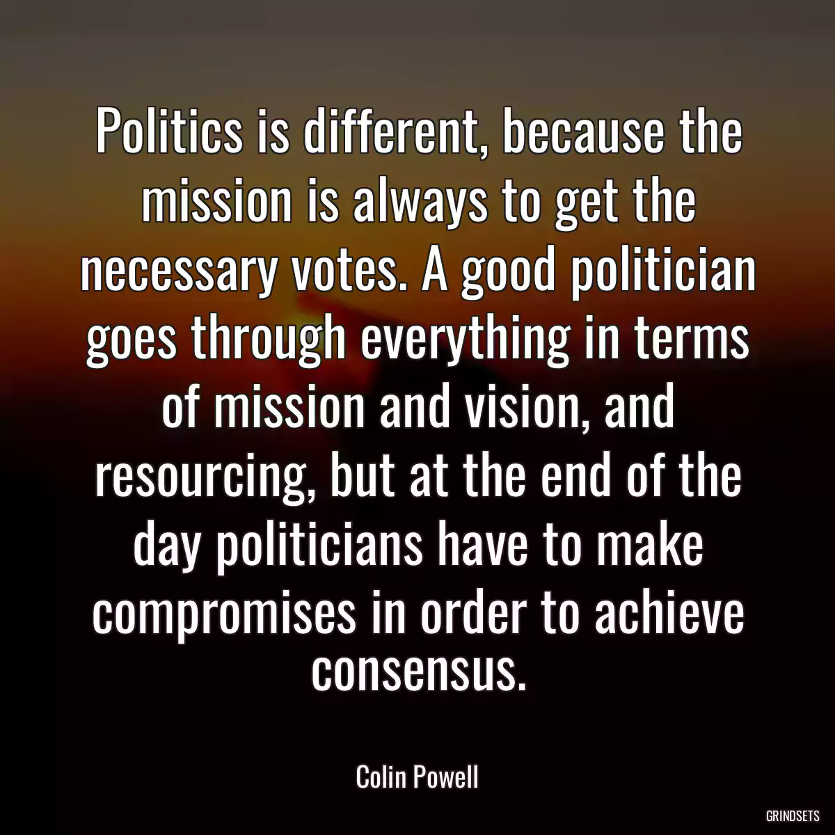 Politics is different, because the mission is always to get the necessary votes. A good politician goes through everything in terms of mission and vision, and resourcing, but at the end of the day politicians have to make compromises in order to achieve consensus.