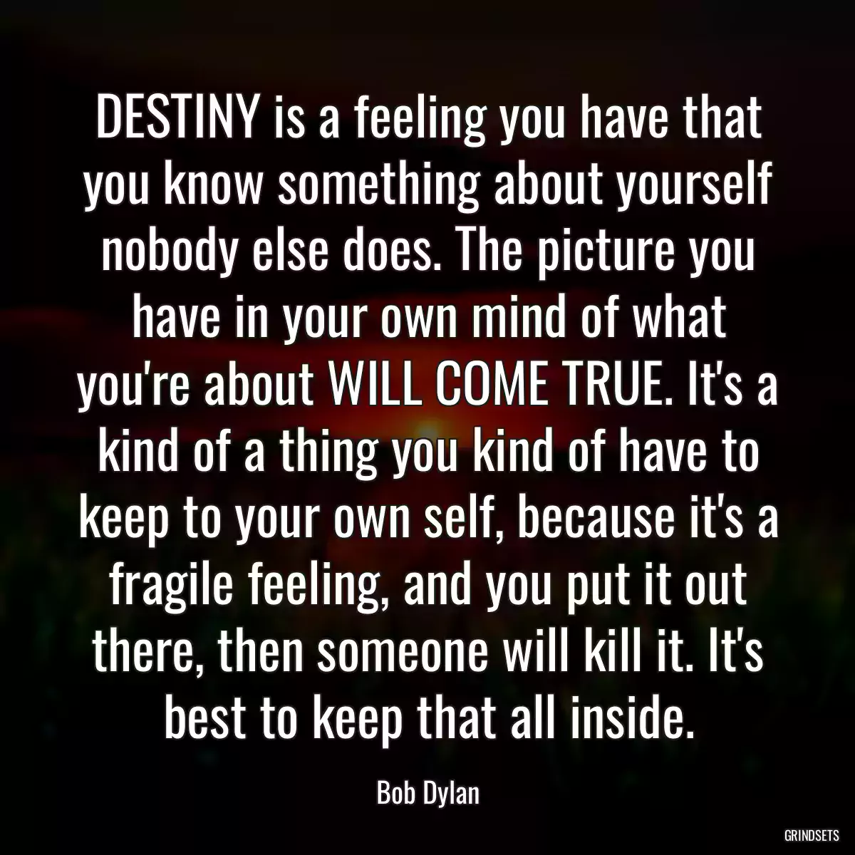 DESTINY is a feeling you have that you know something about yourself nobody else does. The picture you have in your own mind of what you\'re about WILL COME TRUE. It\'s a kind of a thing you kind of have to keep to your own self, because it\'s a fragile feeling, and you put it out there, then someone will kill it. It\'s best to keep that all inside.