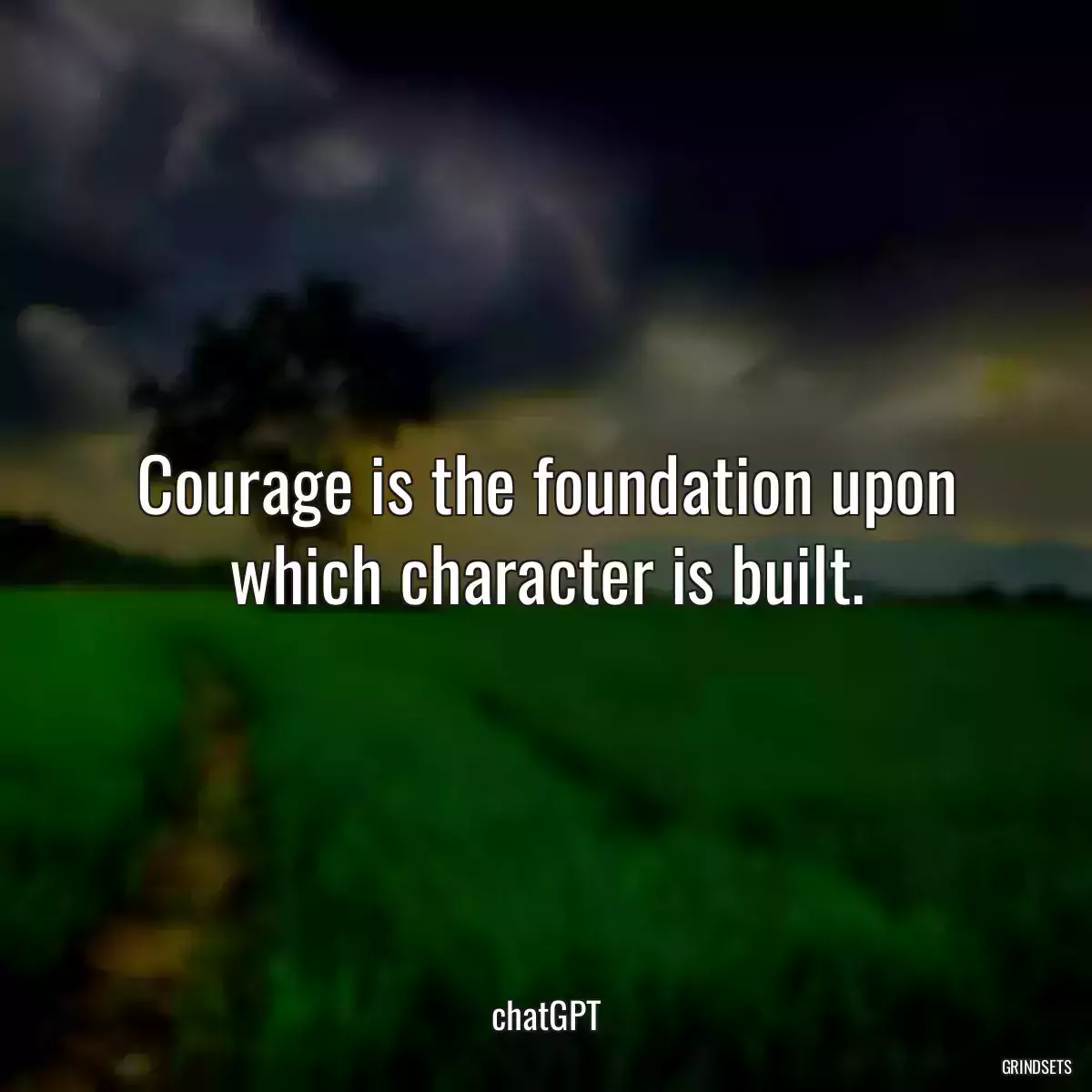 Courage is the foundation upon which character is built.