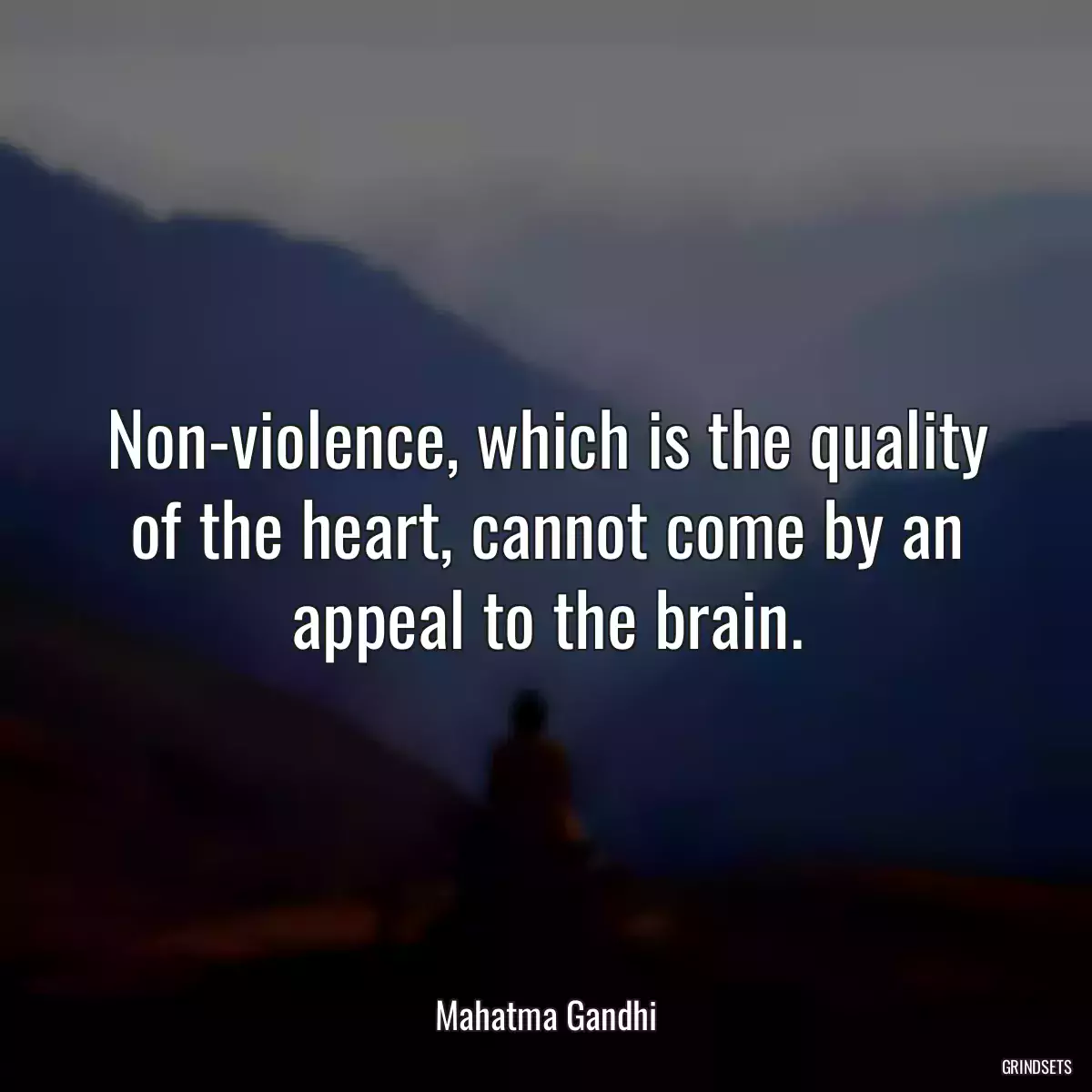 Non-violence, which is the quality of the heart, cannot come by an appeal to the brain.