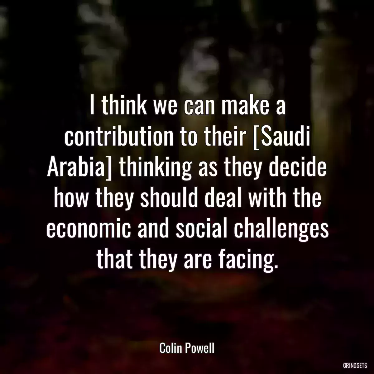 I think we can make a contribution to their [Saudi Arabia] thinking as they decide how they should deal with the economic and social challenges that they are facing.
