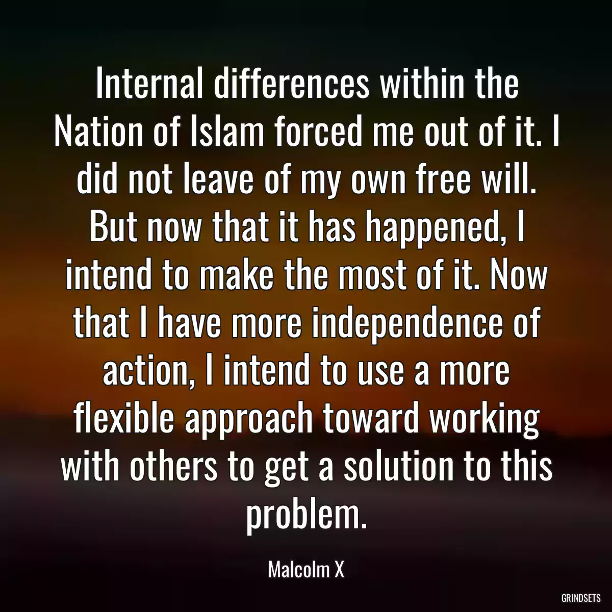 Internal differences within the Nation of Islam forced me out of it. I did not leave of my own free will. But now that it has happened, I intend to make the most of it. Now that I have more independence of action, I intend to use a more flexible approach toward working with others to get a solution to this problem.