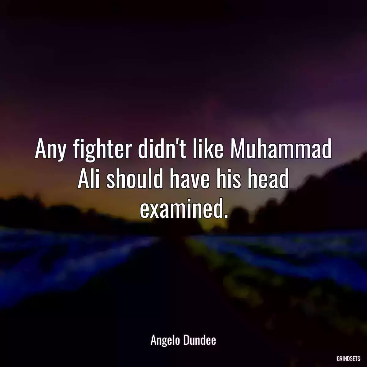 Any fighter didn\'t like Muhammad Ali should have his head examined.