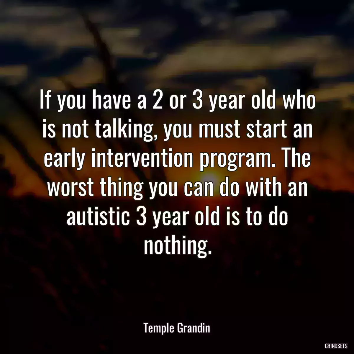 If you have a 2 or 3 year old who is not talking, you must start an early intervention program. The worst thing you can do with an autistic 3 year old is to do nothing.