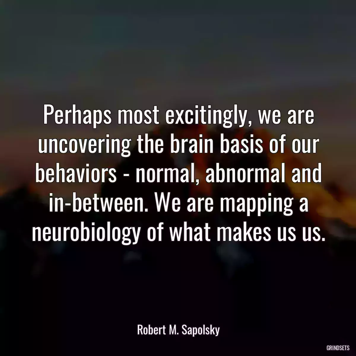 Perhaps most excitingly, we are uncovering the brain basis of our behaviors - normal, abnormal and in-between. We are mapping a neurobiology of what makes us us.