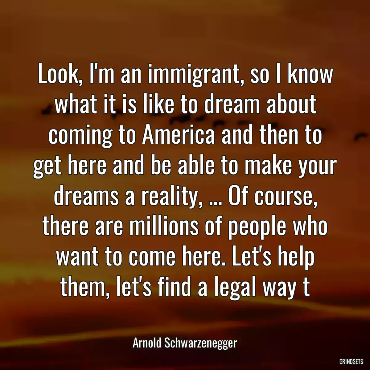 Look, I\'m an immigrant, so I know what it is like to dream about coming to America and then to get here and be able to make your dreams a reality, ... Of course, there are millions of people who want to come here. Let\'s help them, let\'s find a legal way t