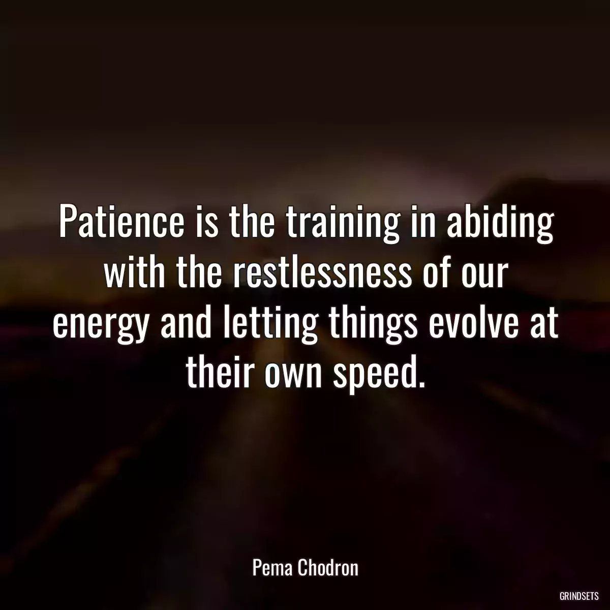 Patience is the training in abiding with the restlessness of our energy and letting things evolve at their own speed.