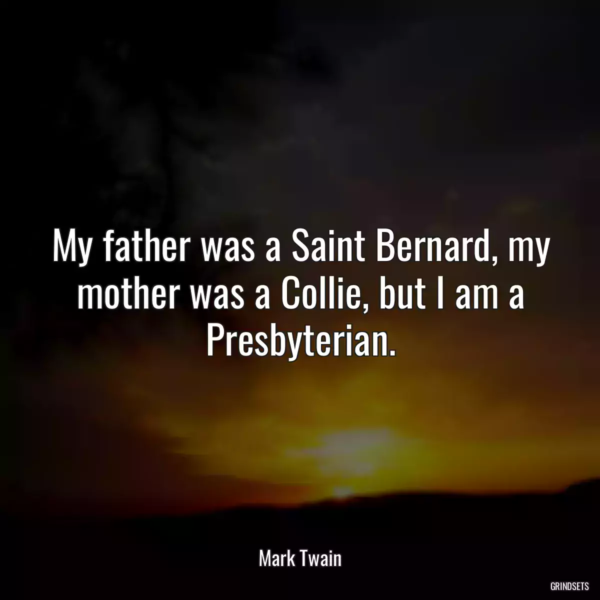 My father was a Saint Bernard, my mother was a Collie, but I am a Presbyterian.