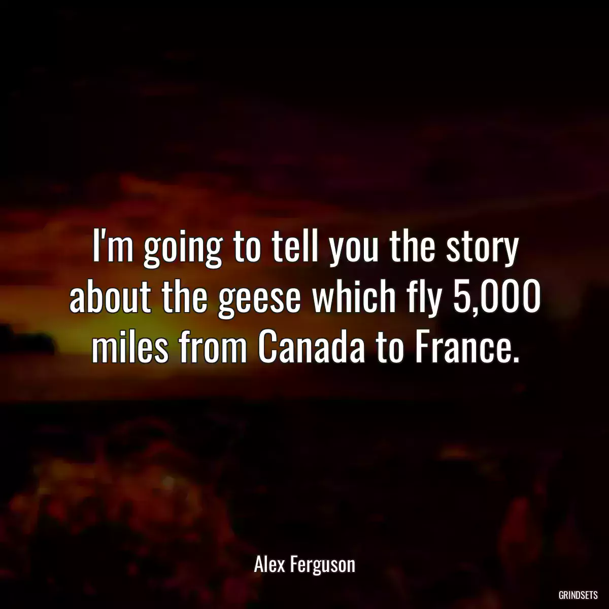 I\'m going to tell you the story about the geese which fly 5,000 miles from Canada to France.