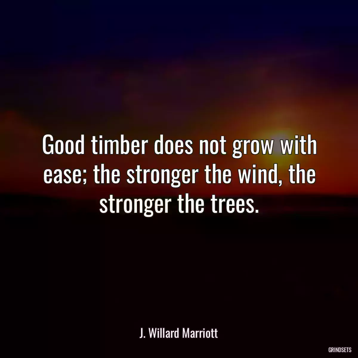 Good timber does not grow with ease; the stronger the wind, the stronger the trees.