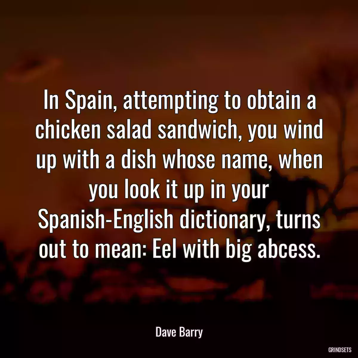 In Spain, attempting to obtain a chicken salad sandwich, you wind up with a dish whose name, when you look it up in your Spanish-English dictionary, turns out to mean: Eel with big abcess.