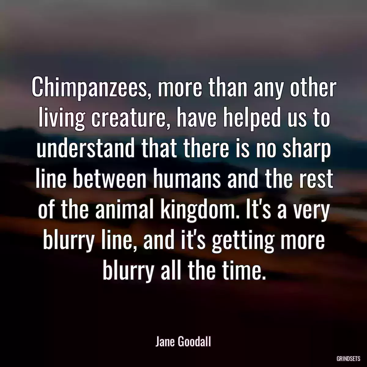 Chimpanzees, more than any other living creature, have helped us to understand that there is no sharp line between humans and the rest of the animal kingdom. It\'s a very blurry line, and it\'s getting more blurry all the time.