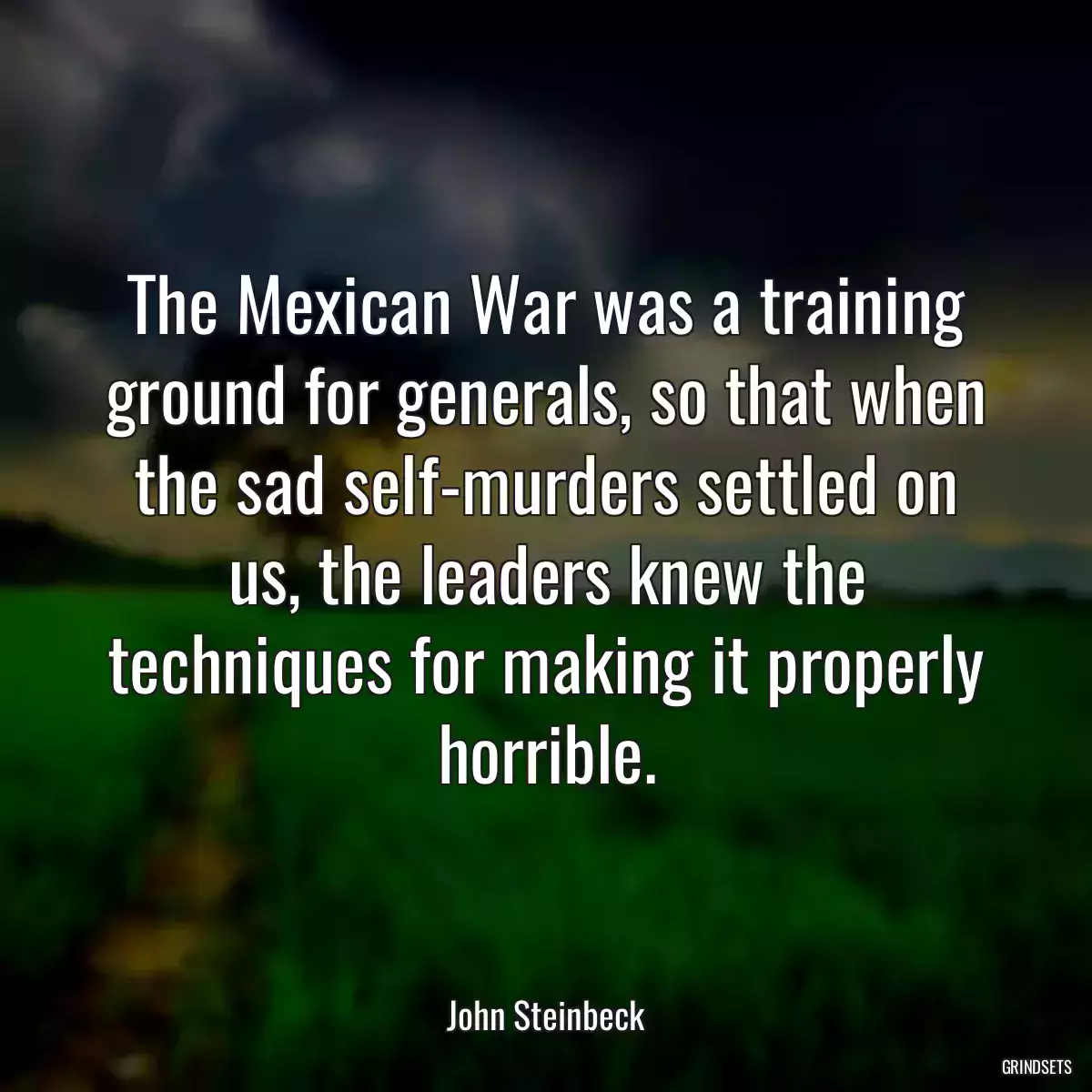 The Mexican War was a training ground for generals, so that when the sad self-murders settled on us, the leaders knew the techniques for making it properly horrible.