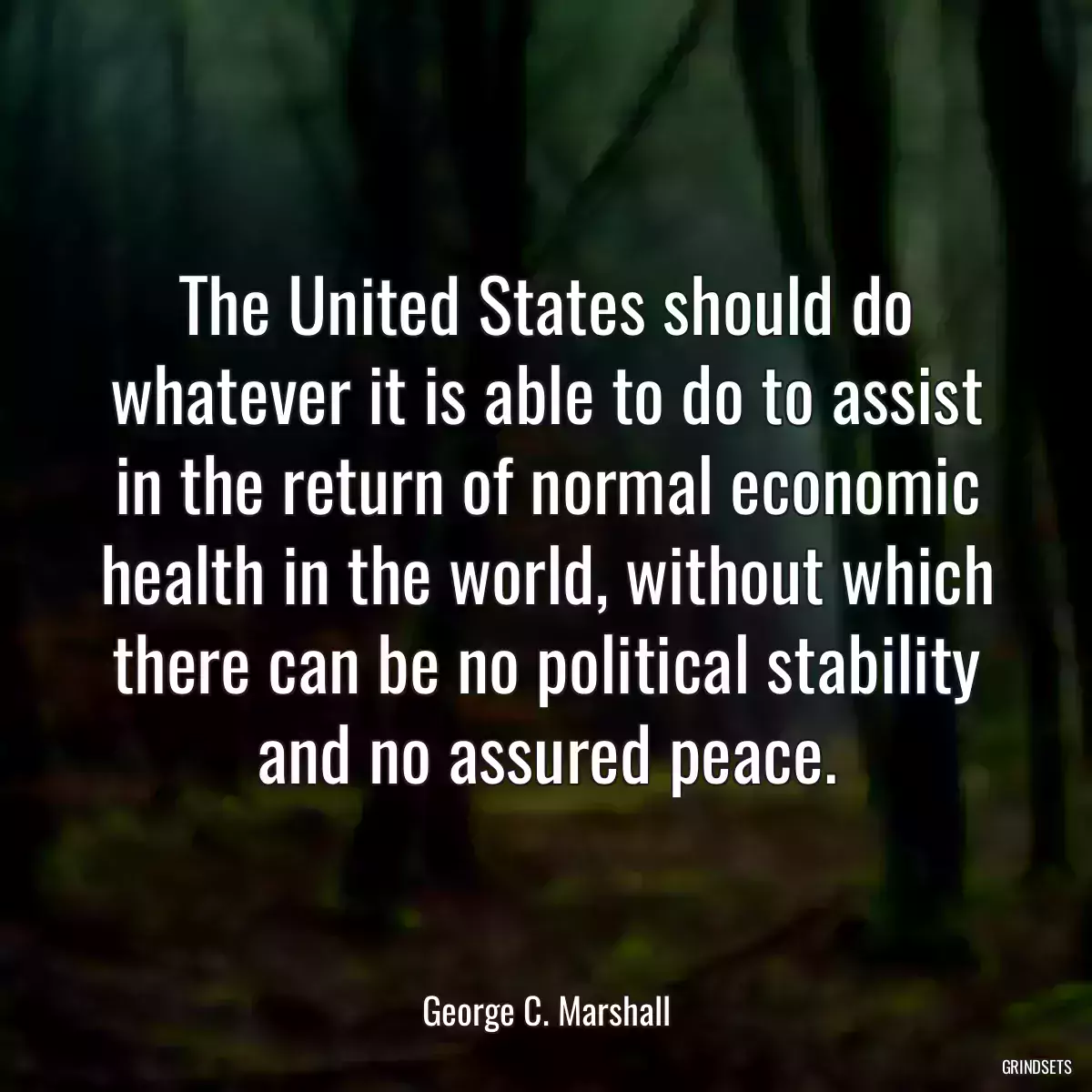 The United States should do whatever it is able to do to assist in the return of normal economic health in the world, without which there can be no political stability and no assured peace.