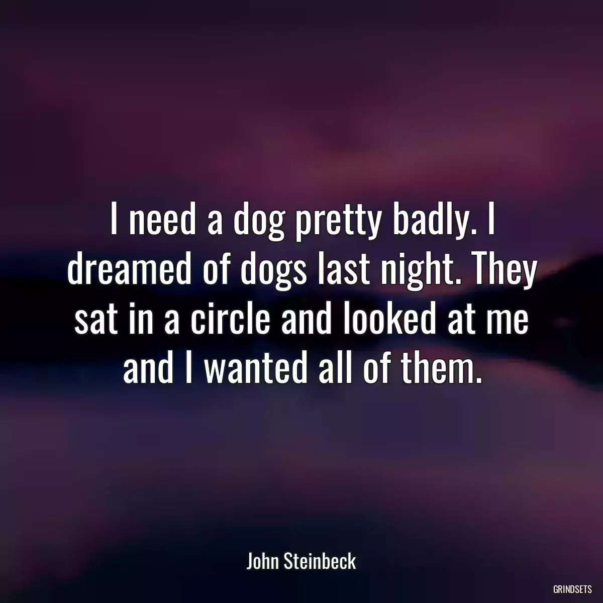 I need a dog pretty badly. I dreamed of dogs last night. They sat in a circle and looked at me and I wanted all of them.