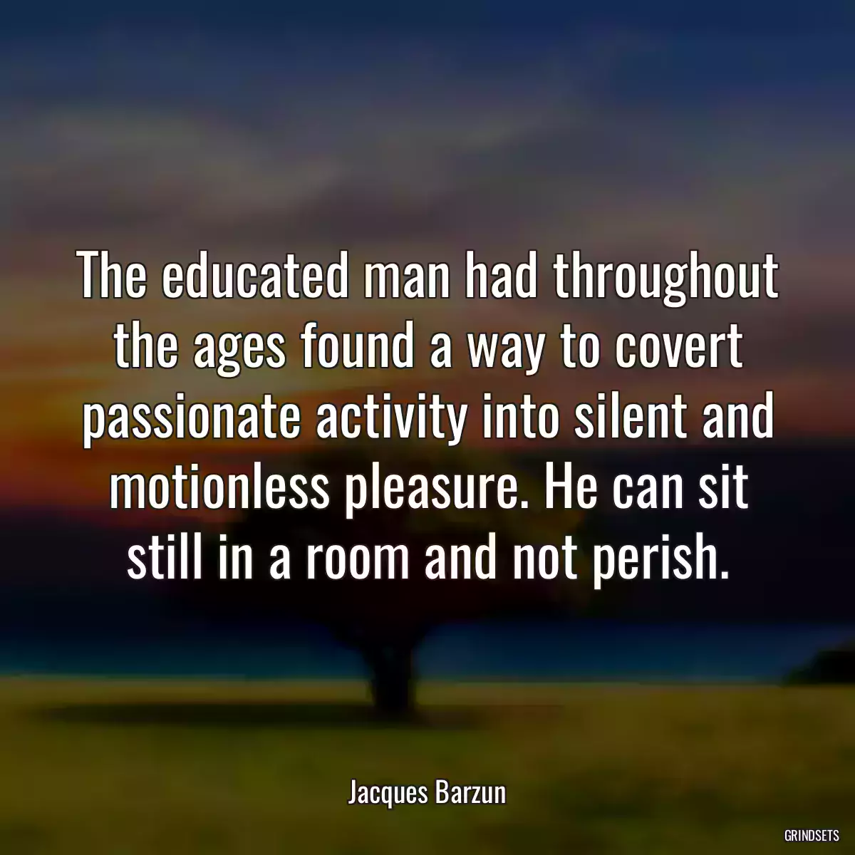 The educated man had throughout the ages found a way to covert passionate activity into silent and motionless pleasure. He can sit still in a room and not perish.