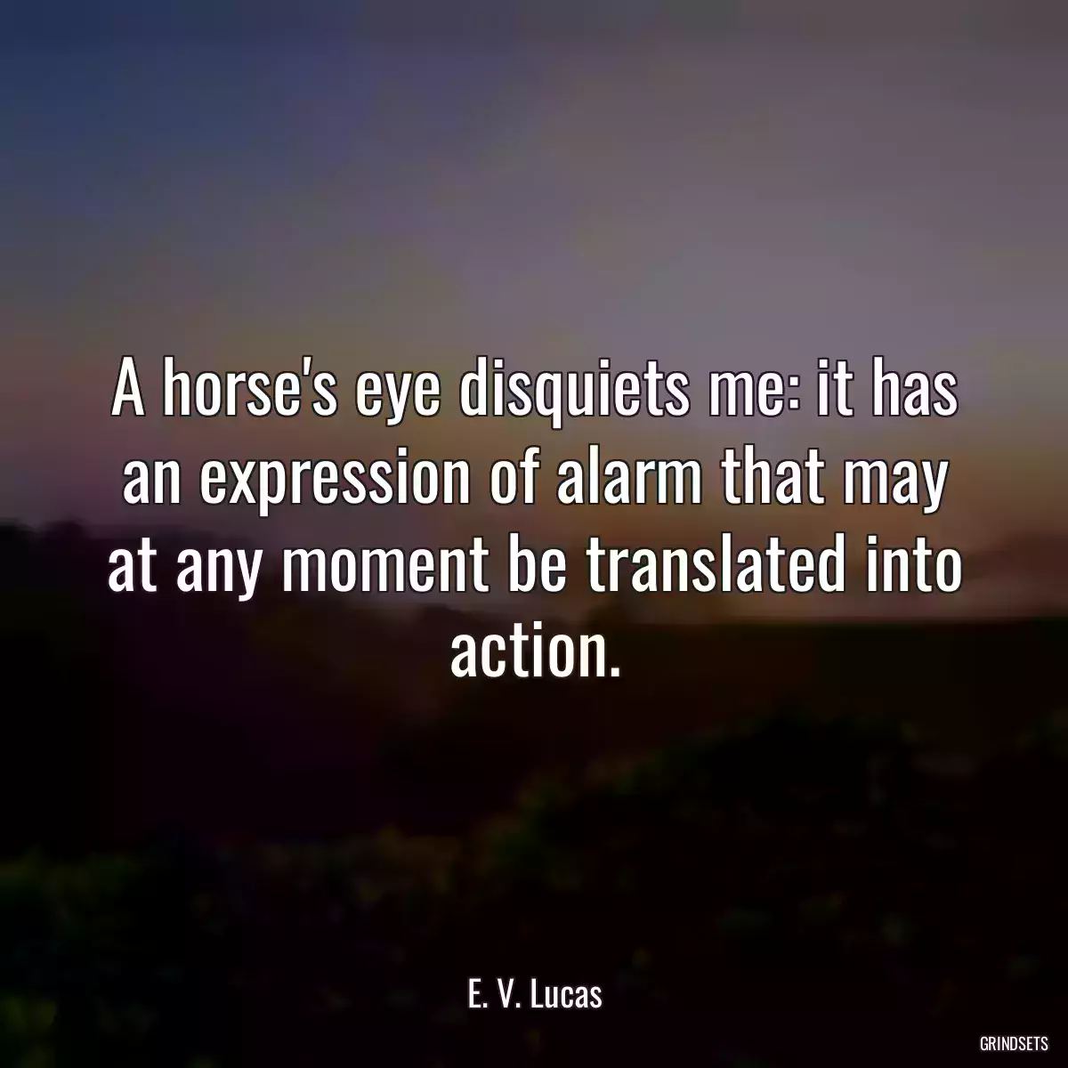 A horse\'s eye disquiets me: it has an expression of alarm that may at any moment be translated into action.