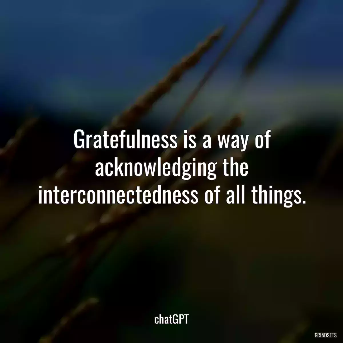 Gratefulness is a way of acknowledging the interconnectedness of all things.