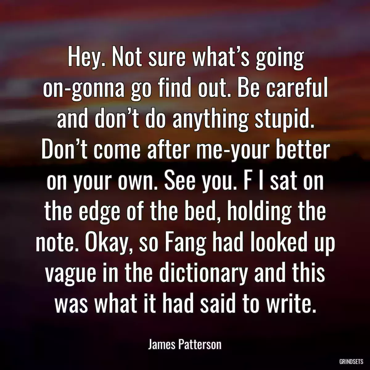 Hey. Not sure what’s going on-gonna go find out. Be careful and don’t do anything stupid. Don’t come after me-your better on your own. See you. F I sat on the edge of the bed, holding the note. Okay, so Fang had looked up vague in the dictionary and this was what it had said to write.