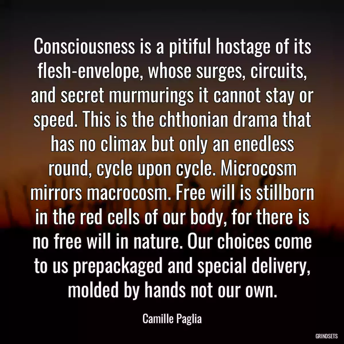 Consciousness is a pitiful hostage of its flesh-envelope, whose surges, circuits, and secret murmurings it cannot stay or speed. This is the chthonian drama that has no climax but only an enedless round, cycle upon cycle. Microcosm mirrors macrocosm. Free will is stillborn in the red cells of our body, for there is no free will in nature. Our choices come to us prepackaged and special delivery, molded by hands not our own.