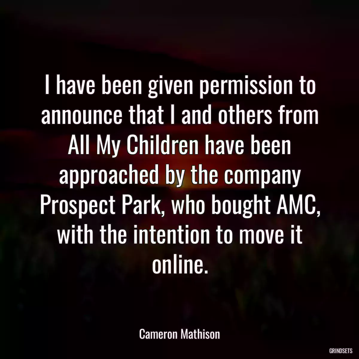 I have been given permission to announce that I and others from All My Children have been approached by the company Prospect Park, who bought AMC, with the intention to move it online.