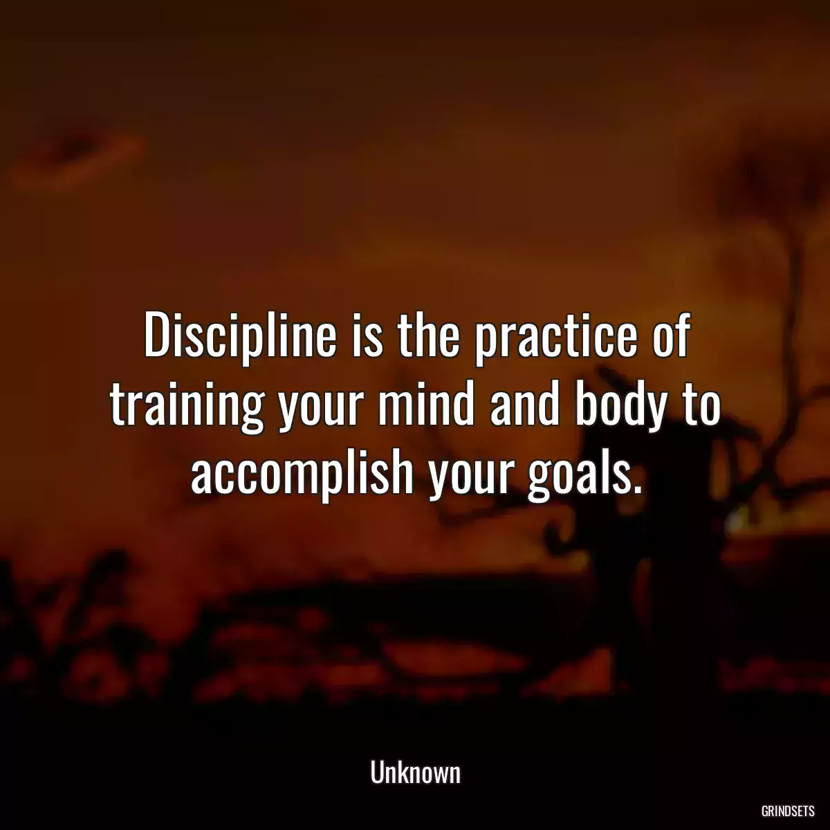 Discipline is the practice of training your mind and body to accomplish your goals.