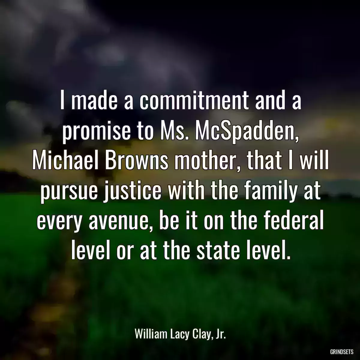 I made a commitment and a promise to Ms. McSpadden, Michael Browns mother, that I will pursue justice with the family at every avenue, be it on the federal level or at the state level.