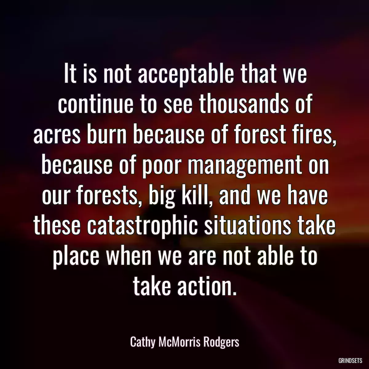 It is not acceptable that we continue to see thousands of acres burn because of forest fires, because of poor management on our forests, big kill, and we have these catastrophic situations take place when we are not able to take action.