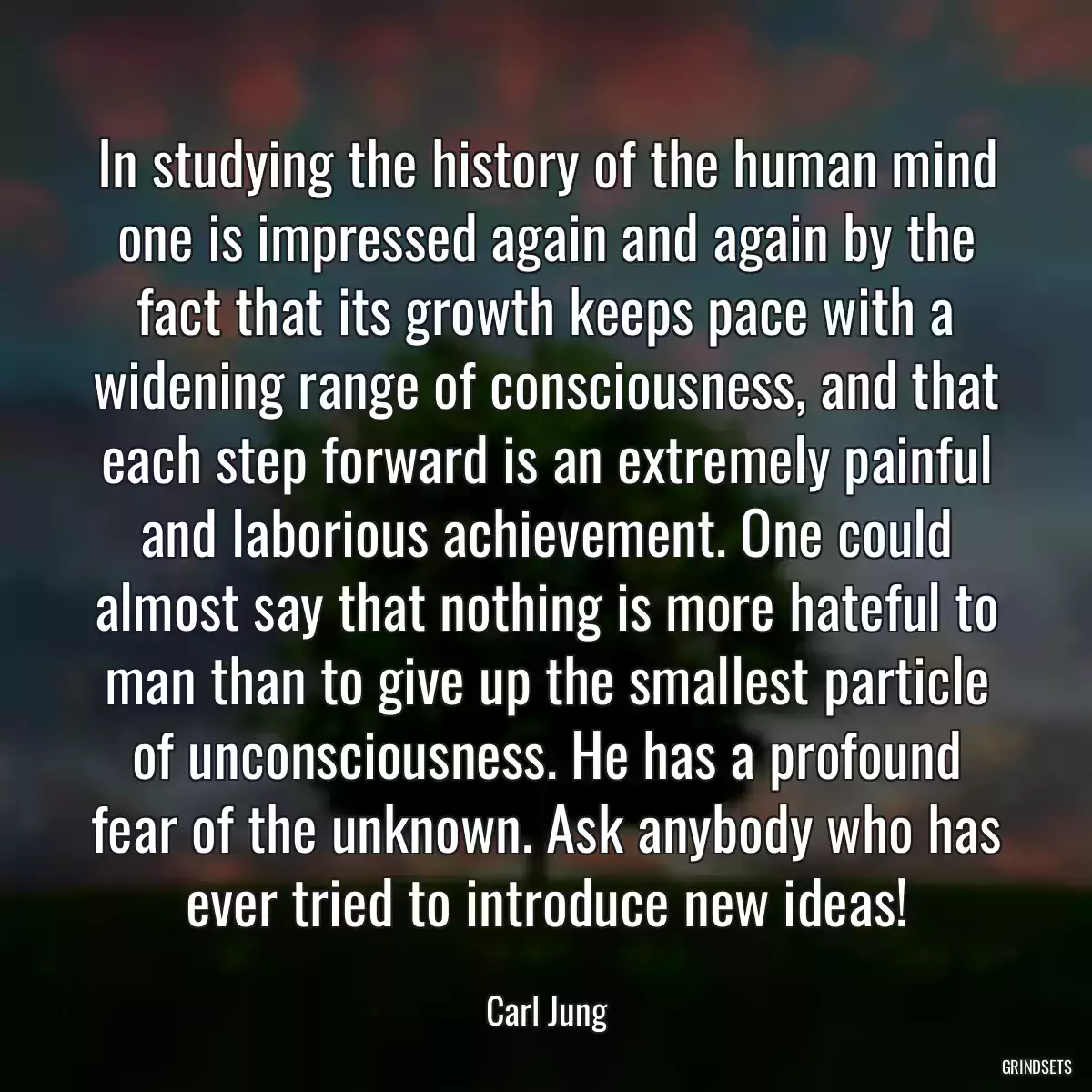 In studying the history of the human mind one is impressed again and again by the fact that its growth keeps pace with a widening range of consciousness, and that each step forward is an extremely painful and laborious achievement. One could almost say that nothing is more hateful to man than to give up the smallest particle of unconsciousness. He has a profound fear of the unknown. Ask anybody who has ever tried to introduce new ideas!