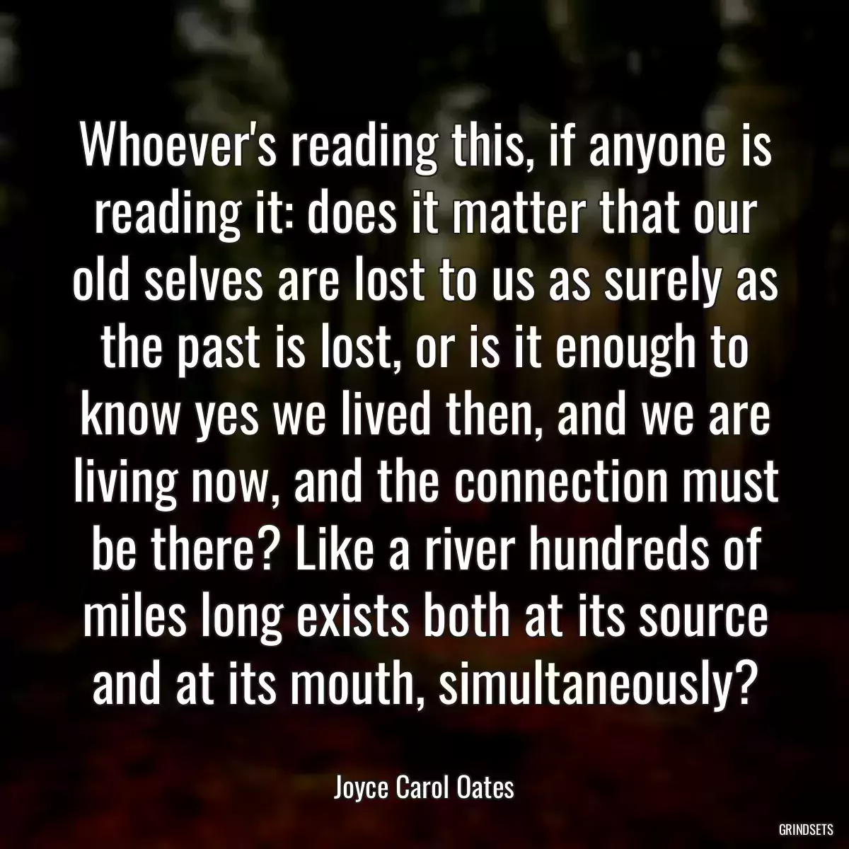 Whoever\'s reading this, if anyone is reading it: does it matter that our old selves are lost to us as surely as the past is lost, or is it enough to know yes we lived then, and we are living now, and the connection must be there? Like a river hundreds of miles long exists both at its source and at its mouth, simultaneously?