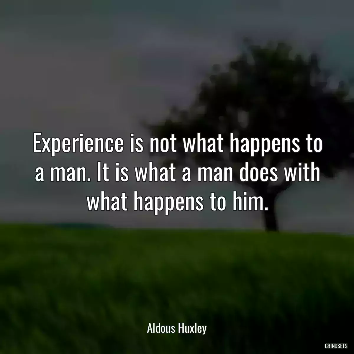 Experience is not what happens to a man. It is what a man does with what happens to him.