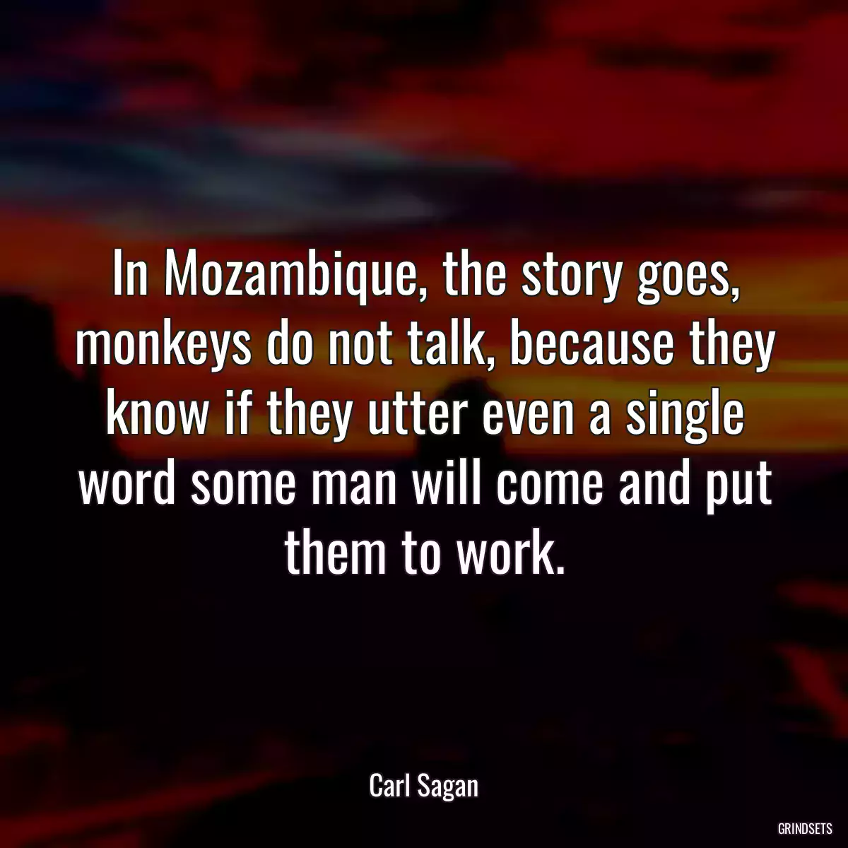 In Mozambique, the story goes, monkeys do not talk, because they know if they utter even a single word some man will come and put them to work.