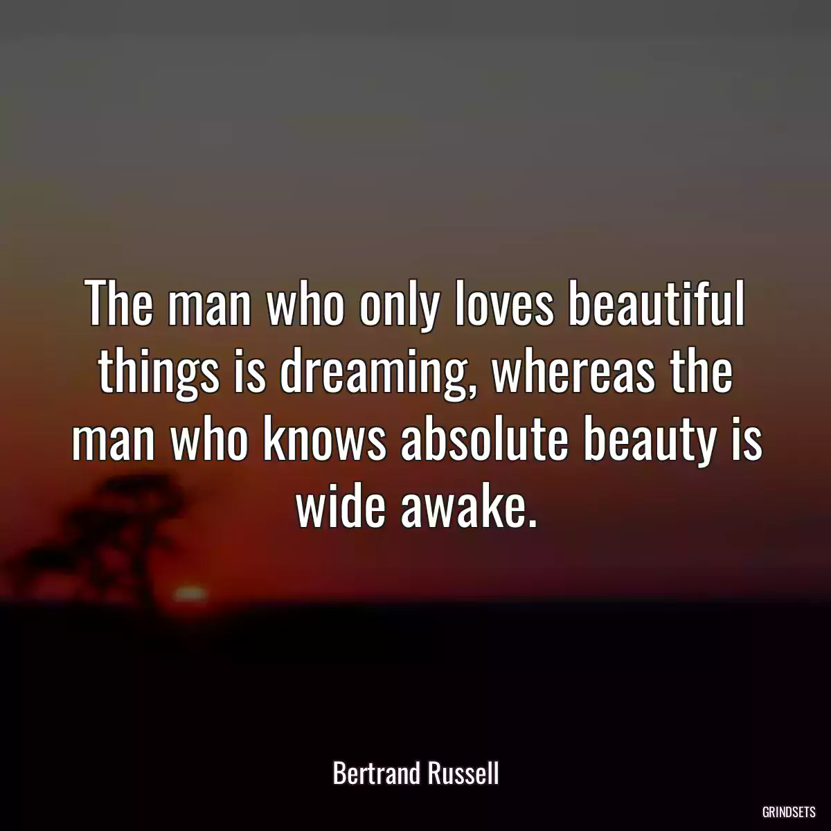 The man who only loves beautiful things is dreaming, whereas the man who knows absolute beauty is wide awake.