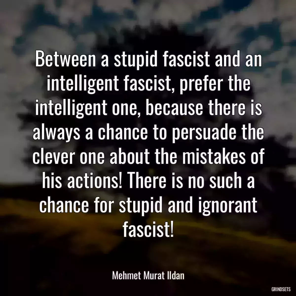 Between a stupid fascist and an intelligent fascist, prefer the intelligent one, because there is always a chance to persuade the clever one about the mistakes of his actions! There is no such a chance for stupid and ignorant fascist!