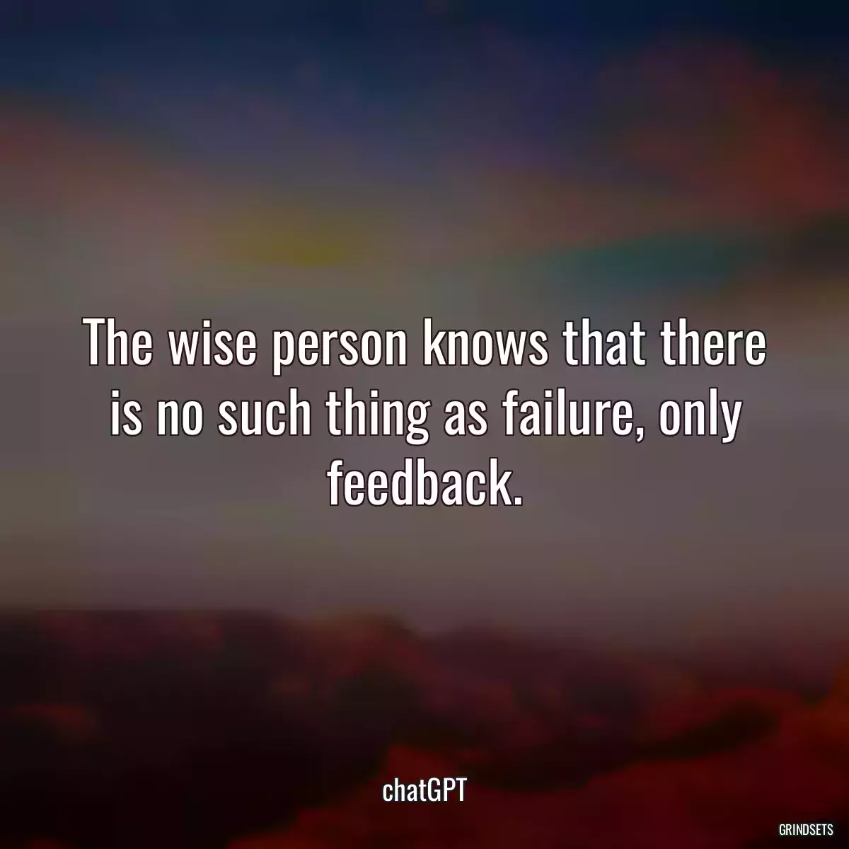 The wise person knows that there is no such thing as failure, only feedback.