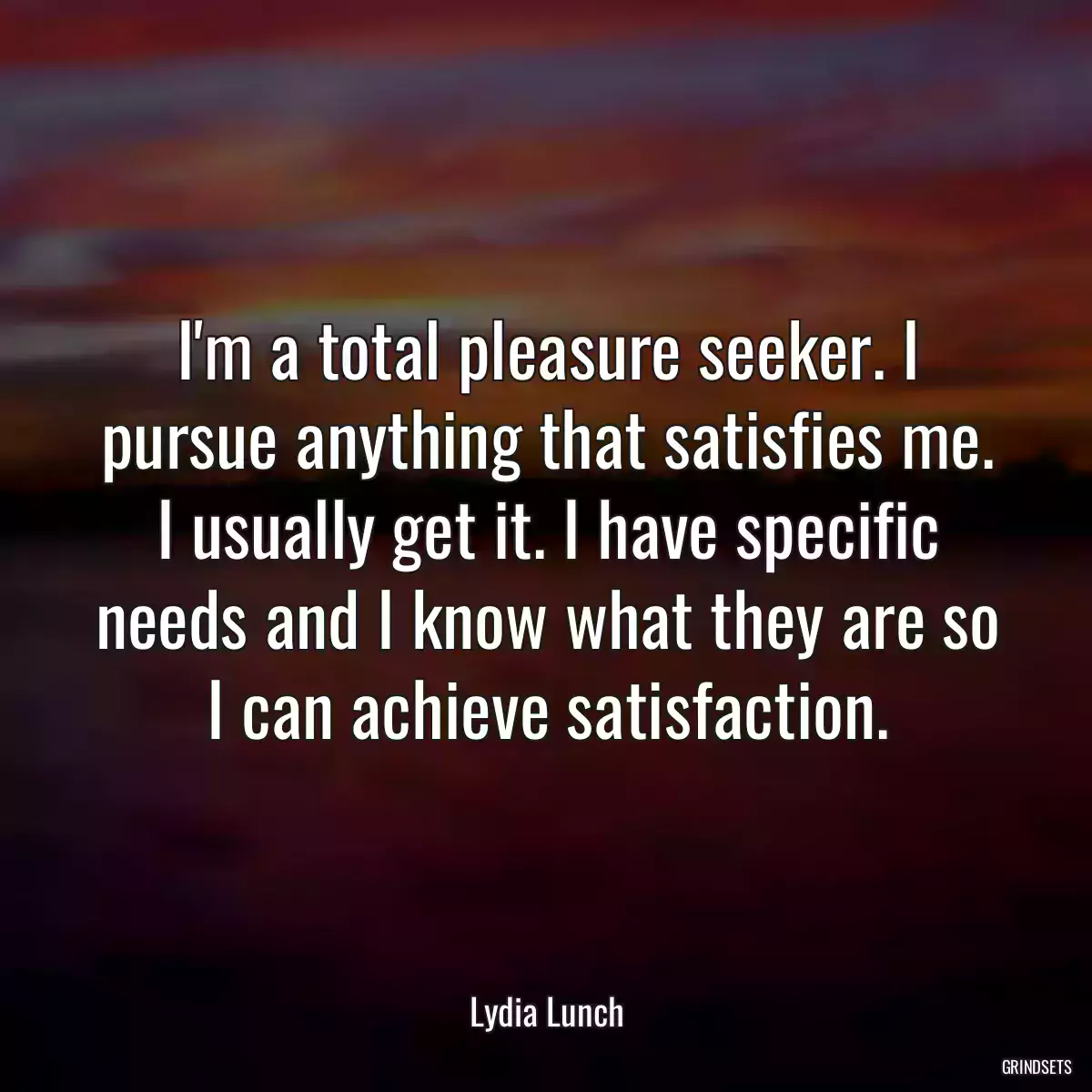 I\'m a total pleasure seeker. I pursue anything that satisfies me. I usually get it. I have specific needs and I know what they are so I can achieve satisfaction.