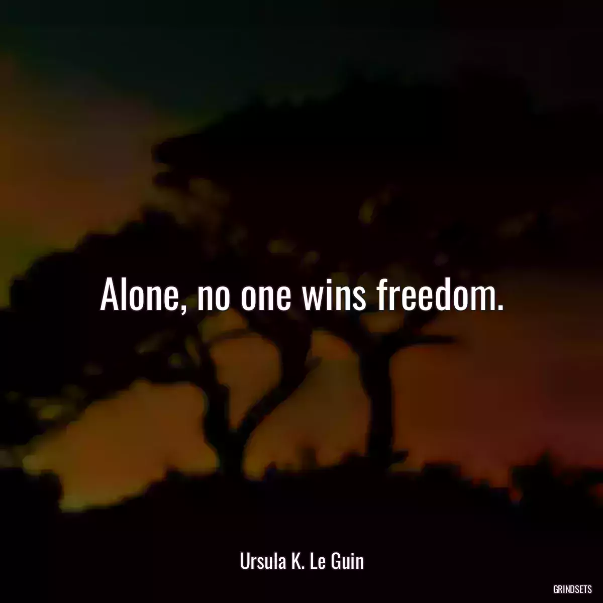 Alone, no one wins freedom.