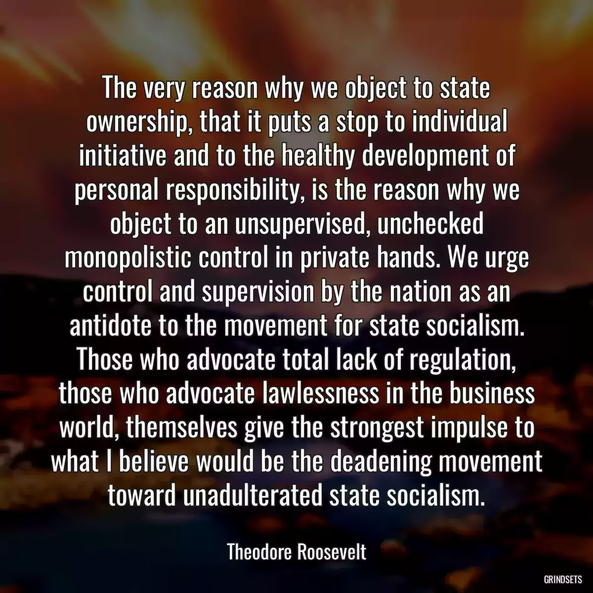 The very reason why we object to state ownership, that it puts a stop to individual initiative and to the healthy development of personal responsibility, is the reason why we object to an unsupervised, unchecked monopolistic control in private hands. We urge control and supervision by the nation as an antidote to the movement for state socialism. Those who advocate total lack of regulation, those who advocate lawlessness in the business world, themselves give the strongest impulse to what I believe would be the deadening movement toward unadulterated state socialism.