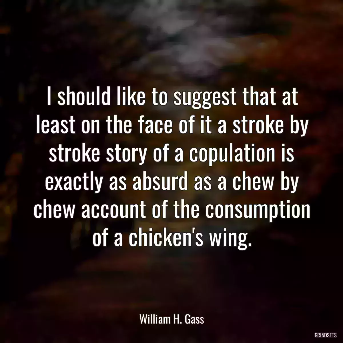 I should like to suggest that at least on the face of it a stroke by stroke story of a copulation is exactly as absurd as a chew by chew account of the consumption of a chicken\'s wing.