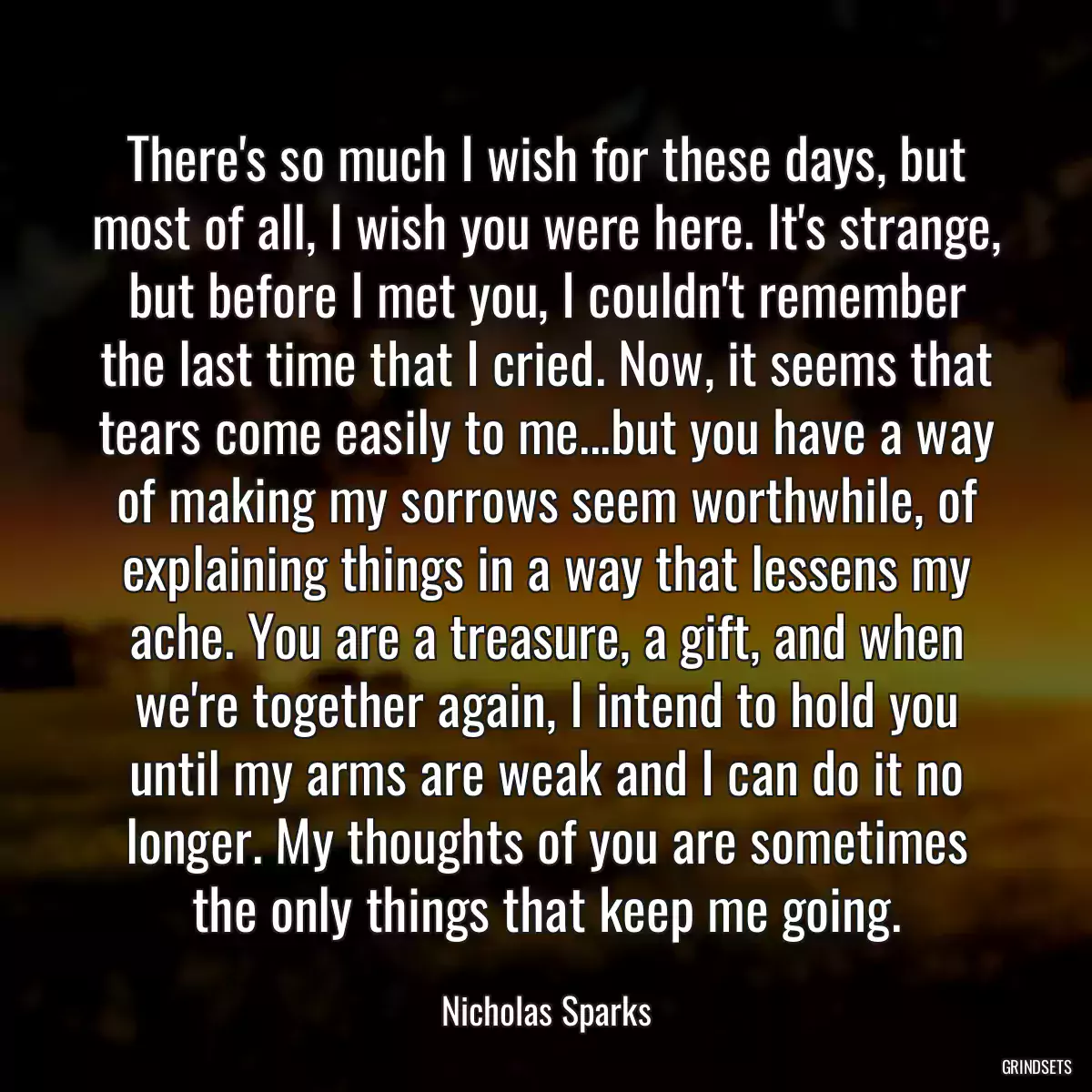 There\'s so much I wish for these days, but most of all, I wish you were here. It\'s strange, but before I met you, I couldn\'t remember the last time that I cried. Now, it seems that tears come easily to me...but you have a way of making my sorrows seem worthwhile, of explaining things in a way that lessens my ache. You are a treasure, a gift, and when we\'re together again, I intend to hold you until my arms are weak and I can do it no longer. My thoughts of you are sometimes the only things that keep me going.