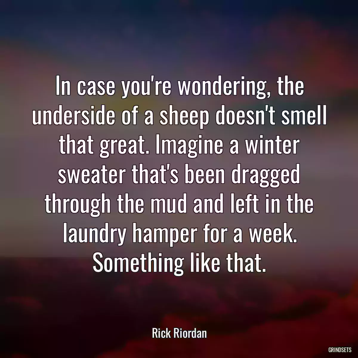 In case you\'re wondering, the underside of a sheep doesn\'t smell that great. Imagine a winter sweater that\'s been dragged through the mud and left in the laundry hamper for a week. Something like that.