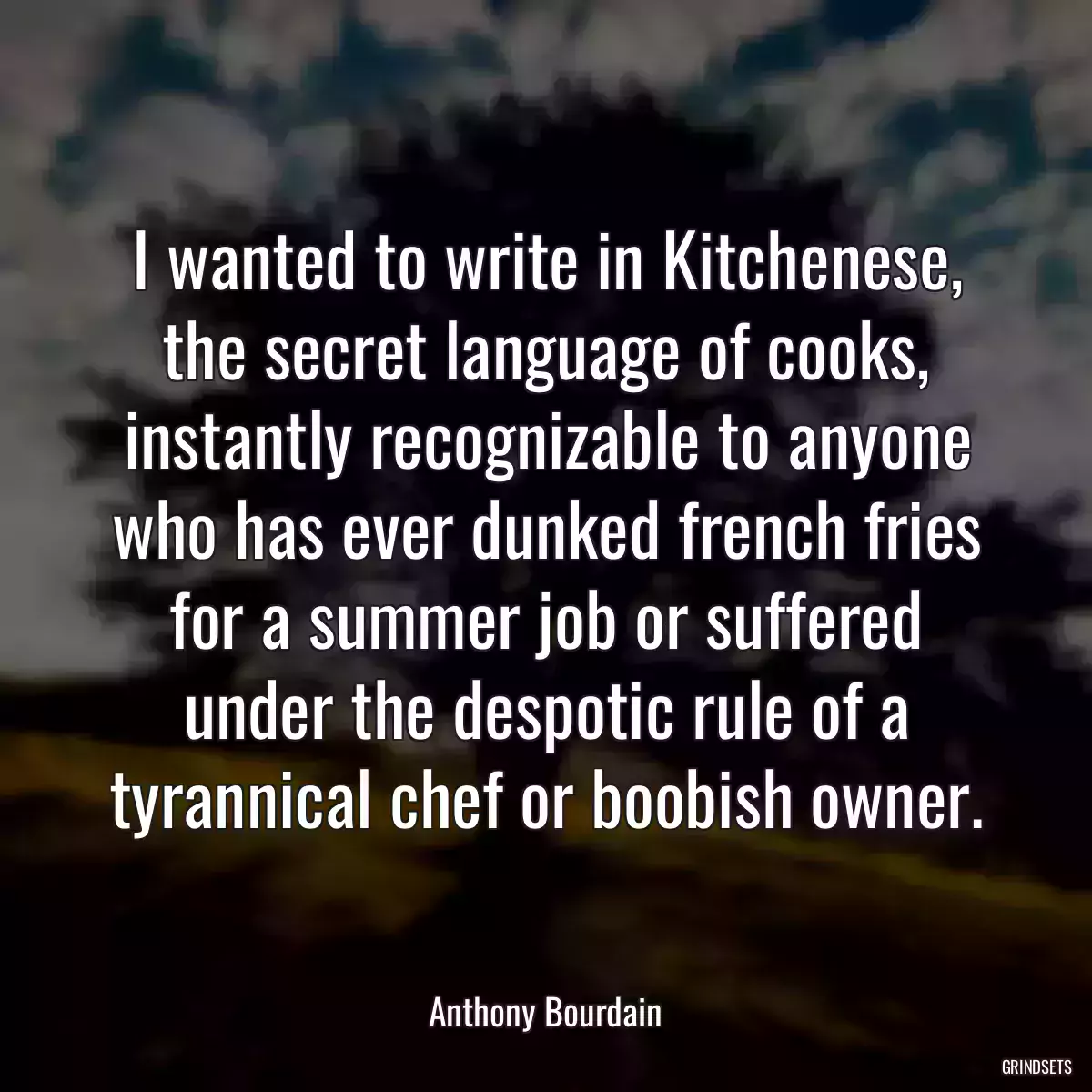 I wanted to write in Kitchenese, the secret language of cooks, instantly recognizable to anyone who has ever dunked french fries for a summer job or suffered under the despotic rule of a tyrannical chef or boobish owner.