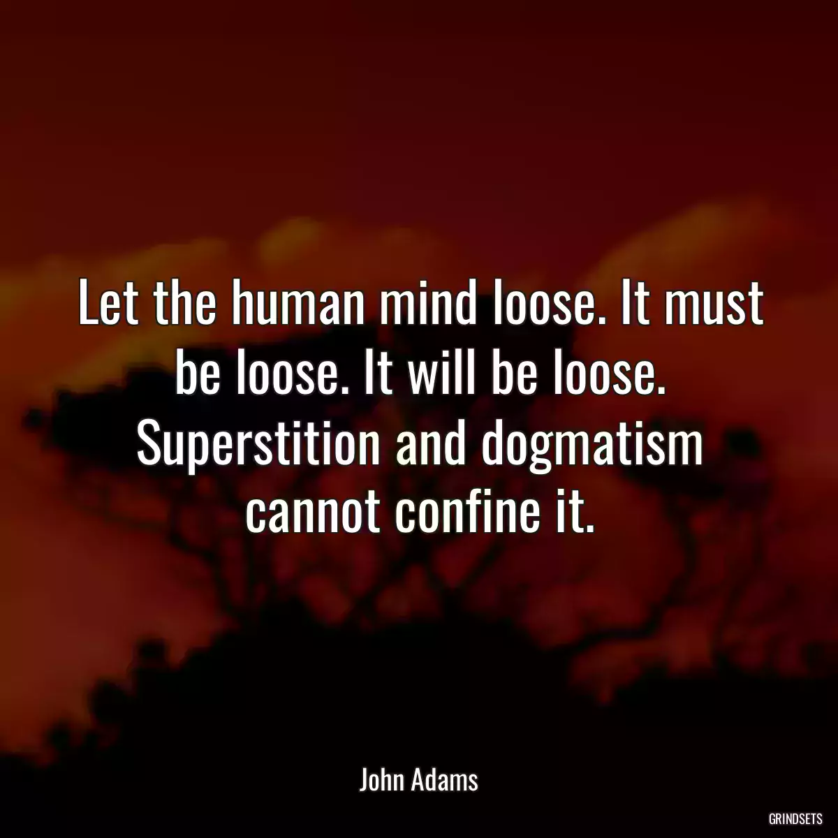 Let the human mind loose. It must be loose. It will be loose. Superstition and dogmatism cannot confine it.