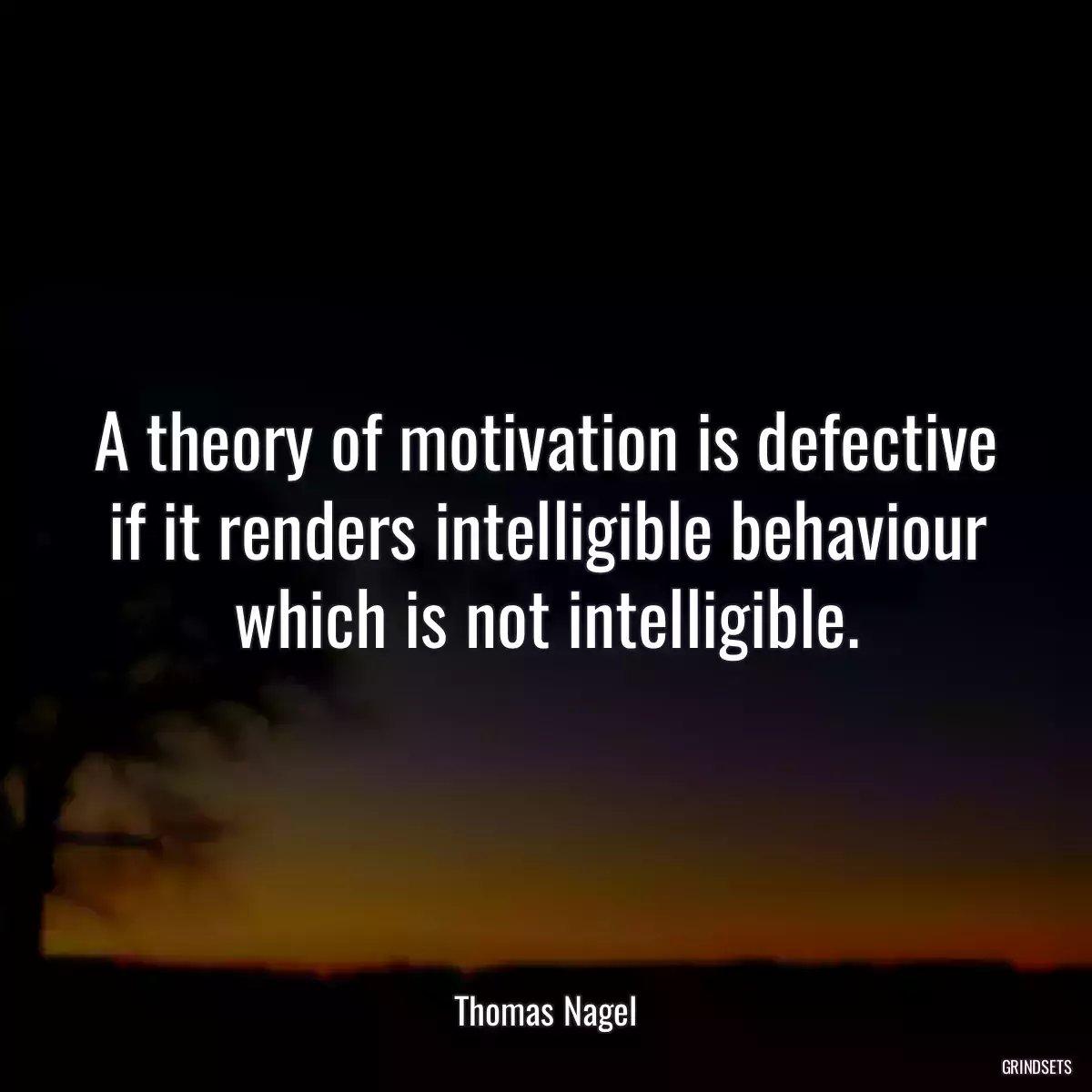 A theory of motivation is defective if it renders intelligible behaviour which is not intelligible.