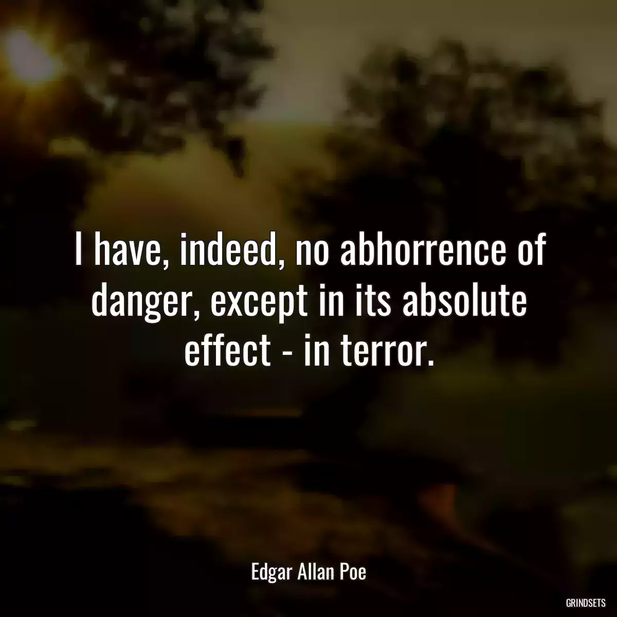 I have, indeed, no abhorrence of danger, except in its absolute effect - in terror.