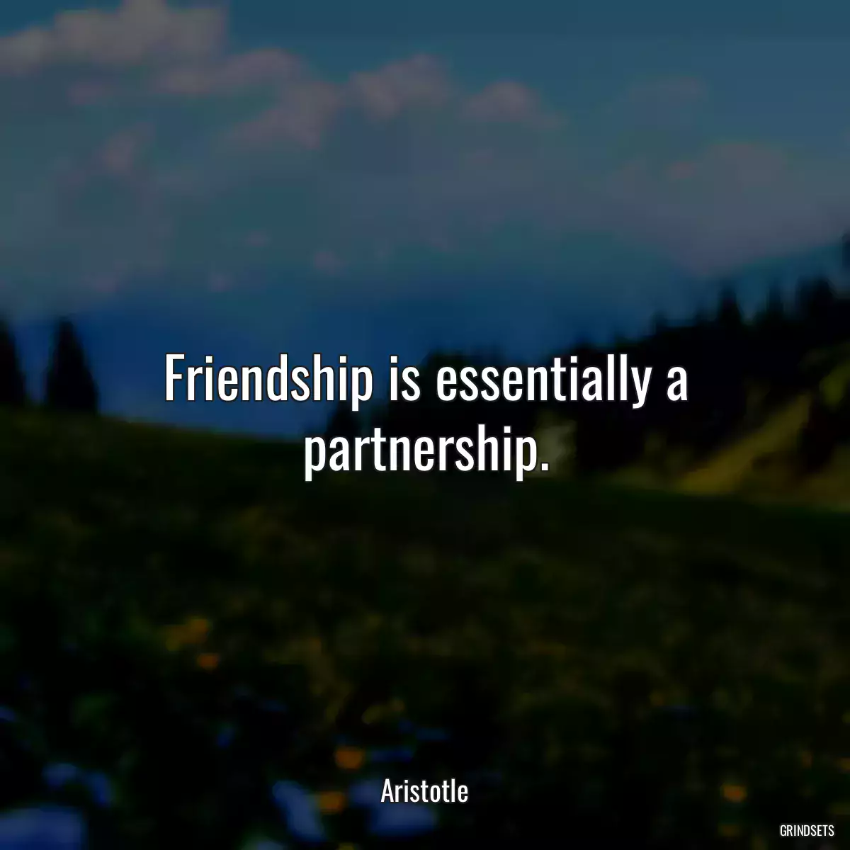 Friendship is essentially a partnership.