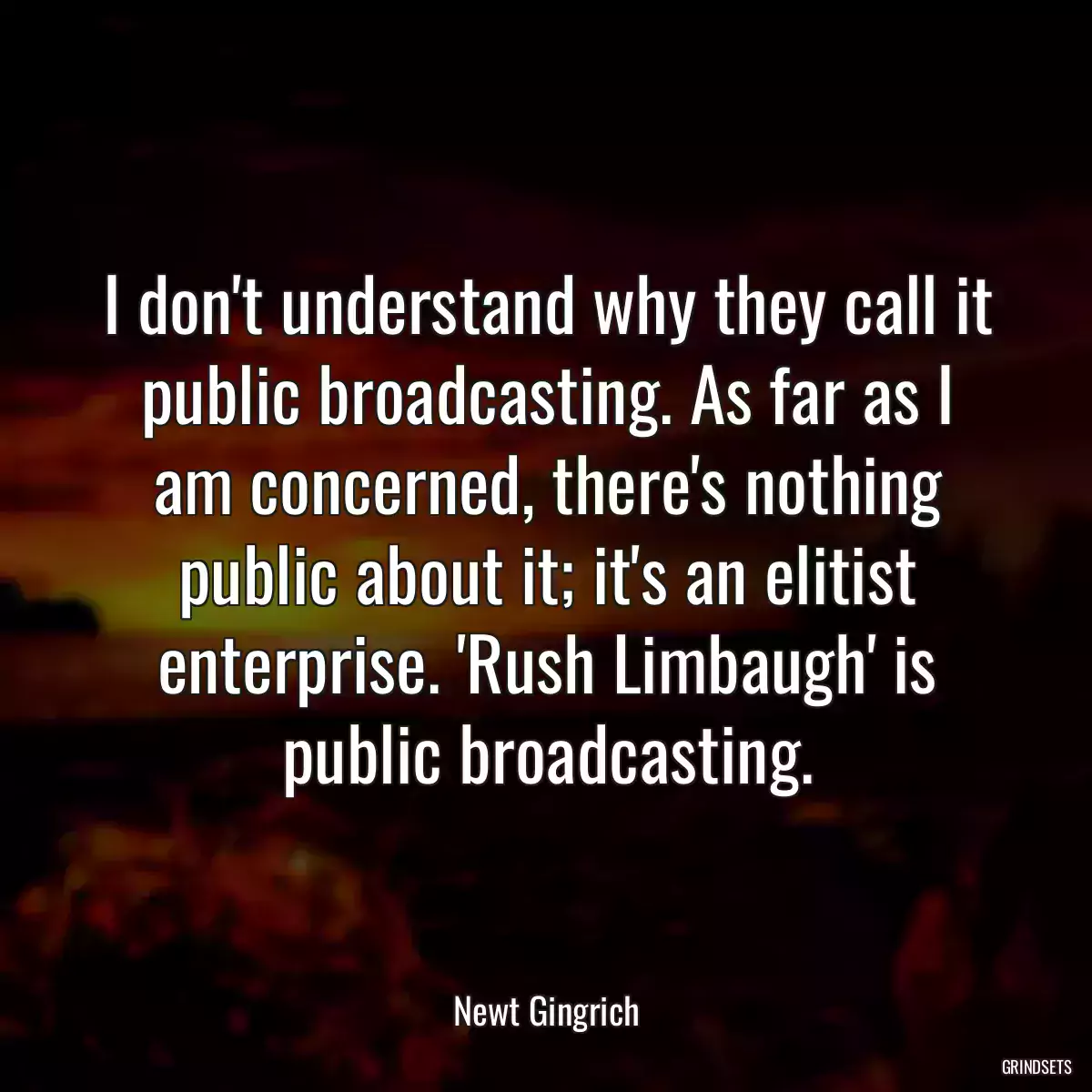 I don\'t understand why they call it public broadcasting. As far as I am concerned, there\'s nothing public about it; it\'s an elitist enterprise. \'Rush Limbaugh\' is public broadcasting.