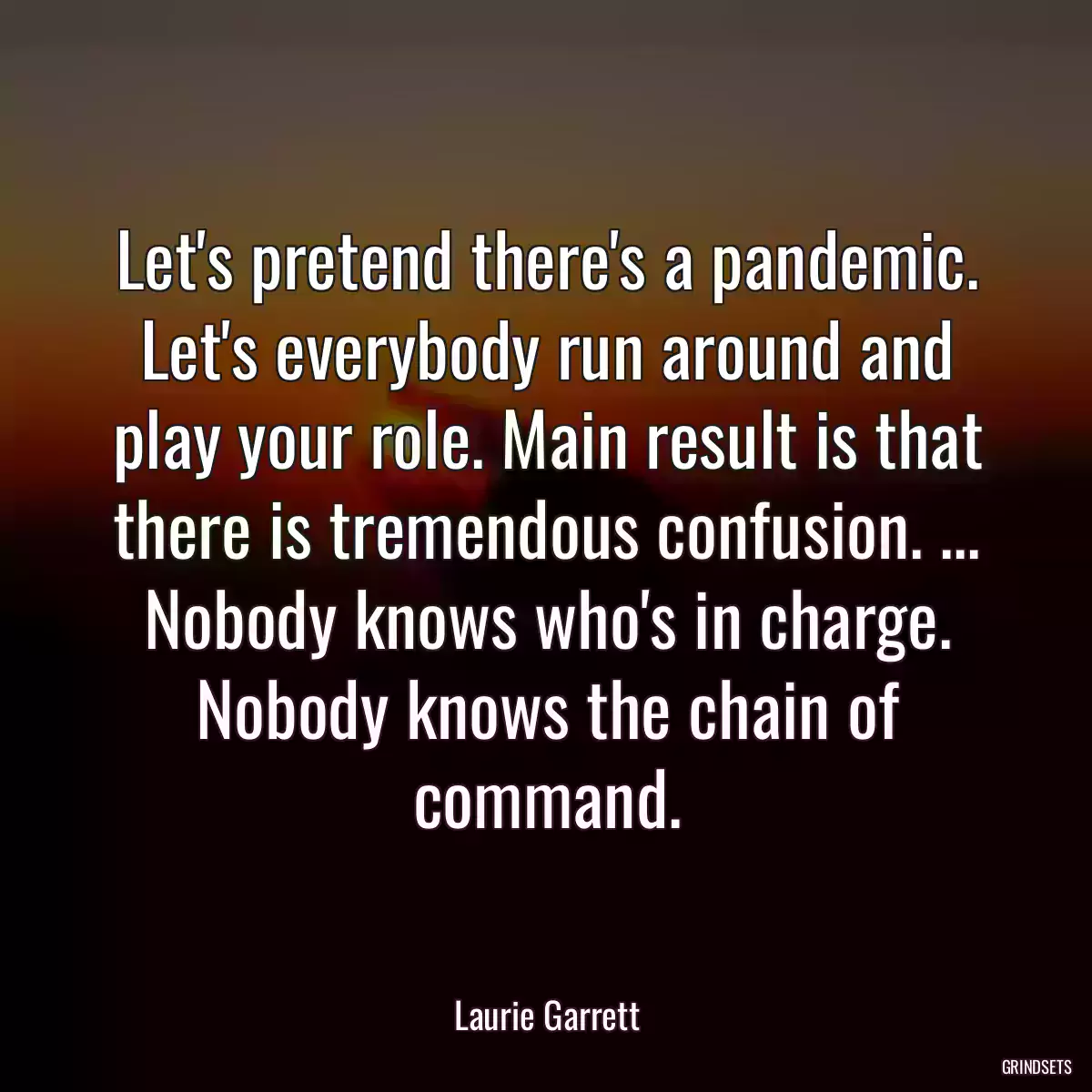 Let\'s pretend there\'s a pandemic. Let\'s everybody run around and play your role. Main result is that there is tremendous confusion. ... Nobody knows who\'s in charge. Nobody knows the chain of command.